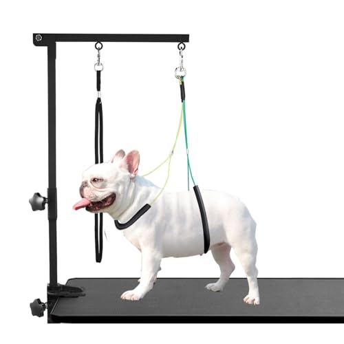 Professioneller Fellpflegetisch für Hunde, mit Klemme, verstellbarer tragbarer Arm für den Tisch, mit 1 Schlinge und 2 Halterungen ohne Sitzen, Fellpflege für kleine, mittelgroße Haustiere von JYHY