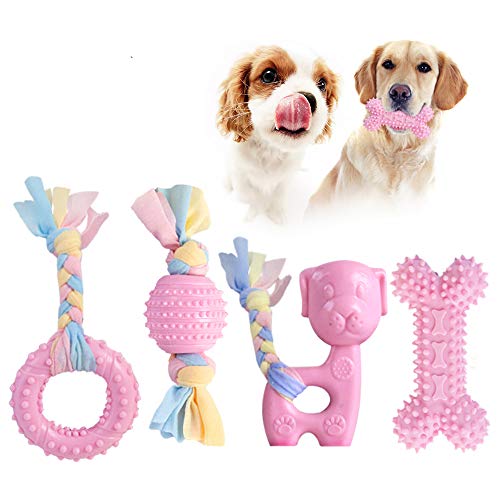 Hundespielzeug, Gummi Welpenspielzeug Mädchen, Zahnen Kauspielzeug für Kleine Hunde und Mittlere Welpen, Natürlich und Ungiftig Hundespielzeug, Jung Hundespielzeug Set mit quietscher Unzerstörbar Hundespielzeug, Gummi Welpenspielzeug Mädchen, Zahnen Kauspielzeug für Kleine Hunde und Mittlere Welpen, Natürlich und Ungiftig Hundespielzeug, Jung Hundespielzeug Set mit quietscher Unzerstörbar von JYPS