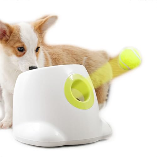 JYSWDZ Automatischer Hundeballwerfer, Hundeballwerfer, verstellbare Startdistanzen für kleine und mittelgroße Hunde, mit 3 x 5 cm Bällen, um Ihr Haustier aktiv zu halten von JYSWDZ