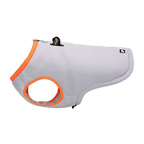 JZTRADE Hunde Kühlweste Ruffwear Kühlweste Hund kalte Weste Kühlwesten für Hunde Kühlende Hundeweste Kühlweste Hund Coole Club Eisweste für Hunde orange,XXL JZTRADE Hunde Kühlweste Ruffwear Kühlweste Hund kalte Weste Kühlwesten für Hunde Kühlende Hundeweste Kühlweste Hund Coole Club Eisweste für Hunde orange,XXL von JZTRADE