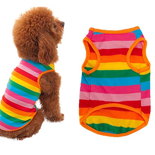 JZTRADE Hunde Mantel Sommer hundekleidung Sommer Hundemäntel für den Sommer Bequeme Haustierkleidung Hundekleidung für den Sommer Katze Kleidung Haustiere 2,l JZTRADE Hunde Mantel Sommer hundekleidung Sommer Hundemäntel für den Sommer Bequeme Haustierkleidung Hundekleidung für den Sommer Katze Kleidung Haustiere 2,l von JZTRADE
