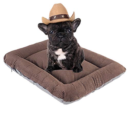 JZTRADE Hundedecke Hundedecken Waschbar Haustierbett Hundekiste Mat Flauschige Katze Mat Weiches Tierarztbett Weiche Katze Mat Warme Hundedecke Katzenbetten Brown,s JZTRADE Hundedecke Hundedecken Waschbar Haustierbett Hundekiste Mat Flauschige Katze Mat Weiches Tierarztbett Weiche Katze Mat Warme Hundedecke Katzenbetten Brown,s von JZTRADE