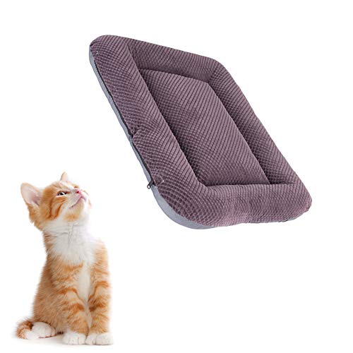 JZTRADE Hundedecke Hundedecken Waschbar Haustierbett Hundekiste Mat Flauschige Katze Mat Weiches Tierarztbett Weiche Katze Mat Warme Hundedecke Katzenbetten Purple,l JZTRADE Hundedecke Hundedecken Waschbar Haustierbett Hundekiste Mat Flauschige Katze Mat Weiches Tierarztbett Weiche Katze Mat Warme Hundedecke Katzenbetten Purple,l von JZTRADE