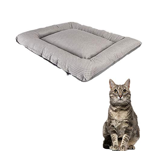 JZTRADE Hundedecke Hundedecken Waschbar Haustierbett Hundekiste Mat Flauschige Katze Mat Weiches Tierarztbett Weiche Katze Mat Warme Hundedecke Katzenbetten Silver,XL JZTRADE Hundedecke Hundedecken Waschbar Haustierbett Hundekiste Mat Flauschige Katze Mat Weiches Tierarztbett Weiche Katze Mat Warme Hundedecke Katzenbetten Silver,XL von JZTRADE