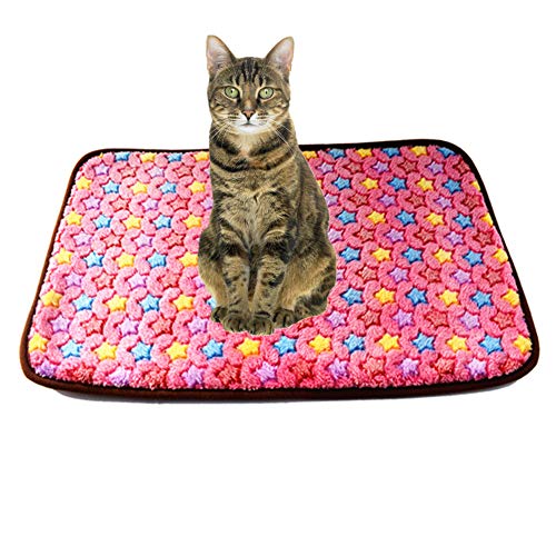 JZTRADE Hundedecke Hundedecken Waschbar Hundebettwäsche Waschbares Hundebett Hundebett klein Haustier-Auflage Hundekiste Mat Katzenbetten Hundebett pink,m JZTRADE Hundedecke Hundedecken Waschbar Hundebettwäsche Waschbares Hundebett Hundebett klein Haustier-Auflage Hundekiste Mat Katzenbetten Hundebett pink,m von JZTRADE
