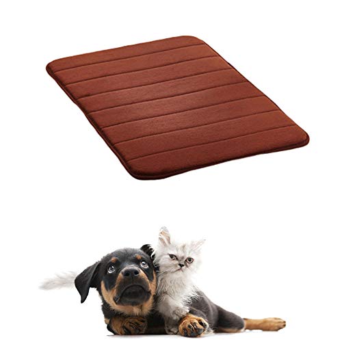 JZTRADE Hundedecke Hundedecken Waschbar Weiches Tierarztbett Hundekomfortbett Hundebett klein Haustier-Auflage Warme Hundedecke Welpenbett Hundekiste Mat Brown,s JZTRADE Hundedecke Hundedecken Waschbar Weiches Tierarztbett Hundekomfortbett Hundebett klein Haustier-Auflage Warme Hundedecke Welpenbett Hundekiste Mat Brown,s von JZTRADE