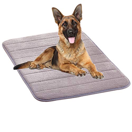 JZTRADE Hundedecke Hundedecken Waschbar Weiches Tierarztbett Hundekomfortbett Hundebett klein Haustier-Auflage Warme Hundedecke Welpenbett Hundekiste Mat Gray,l JZTRADE Hundedecke Hundedecken Waschbar Weiches Tierarztbett Hundekomfortbett Hundebett klein Haustier-Auflage Warme Hundedecke Welpenbett Hundekiste Mat Gray,l von JZTRADE