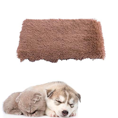 JZTRADE Hundedecken Katzendecke Flauschige Decke Welpenbett Dicke Waschbares Hundebett Hundekiste Bett Kätzchenbett Hundebett klein Haustierdecke Khaki,s JZTRADE Hundedecken Katzendecke Flauschige Decke Welpenbett Dicke Waschbares Hundebett Hundekiste Bett Kätzchenbett Hundebett klein Haustierdecke Khaki,s von JZTRADE