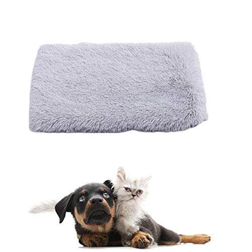 JZTRADE Hundedecken Katzendecke Flauschige Decke Welpenbett Dicke Waschbares Hundebett Hundekiste Bett Kätzchenbett Hundebett klein Haustierdecke Light Gray,l JZTRADE Hundedecken Katzendecke Flauschige Decke Welpenbett Dicke Waschbares Hundebett Hundekiste Bett Kätzchenbett Hundebett klein Haustierdecke Light Gray,l von JZTRADE
