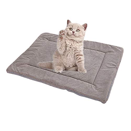 JZTRADE Hundedecken Katzendecke Warme Hundedecke Welpendecken Hundekiste Mat Hundebett klein Hundebettwäsche Welpenbett Hundedecken waschbar Katzenbetten Gray,l JZTRADE Hundedecken Katzendecke Warme Hundedecke Welpendecken Hundekiste Mat Hundebett klein Hundebettwäsche Welpenbett Hundedecken waschbar Katzenbetten Gray,l von JZTRADE