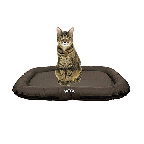JZTRADE Hundedecken Waschbar Hundedecken Hundebettwäsche Waschbares Hundebett Welpen Matten Hundebett klein Hundekiste Mat Kätzchenbett Hundebett Zubehör Brown JZTRADE Hundedecken Waschbar Hundedecken Hundebettwäsche Waschbares Hundebett Welpen Matten Hundebett klein Hundekiste Mat Kätzchenbett Hundebett Zubehör Brown von JZTRADE