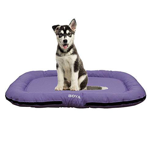 JZTRADE Hundedecken Waschbar Hundedecken Hundebettwäsche Waschbares Hundebett Welpen Matten Hundebett klein Hundekiste Mat Kätzchenbett Hundebett Zubehör Purple JZTRADE Hundedecken Waschbar Hundedecken Hundebettwäsche Waschbares Hundebett Welpen Matten Hundebett klein Hundekiste Mat Kätzchenbett Hundebett Zubehör Purple von JZTRADE