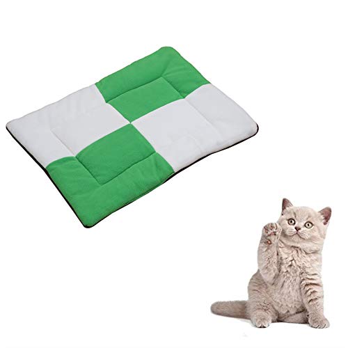 JZTRADE Katzendecke Hundedecken Waschbar Dicke Haustierdecke Haustierdecke Katzenbetten Weiche Decke Flauschige Katze Mat Waschbares Hundebett Green,s JZTRADE Katzendecke Hundedecken Waschbar Dicke Haustierdecke Haustierdecke Katzenbetten Weiche Decke Flauschige Katze Mat Waschbares Hundebett Green,s von JZTRADE