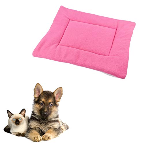 JZTRADE Katzendecke Hundedecken Welpendecken Hundedecken waschbar Hundekiste Bett Weiche Decke Hundebett Zubehör Haustierdecke Hundebettwäsche Katzendecke pink,l JZTRADE Katzendecke Hundedecken Welpendecken Hundedecken waschbar Hundekiste Bett Weiche Decke Hundebett Zubehör Haustierdecke Hundebettwäsche Katzendecke pink,l von JZTRADE