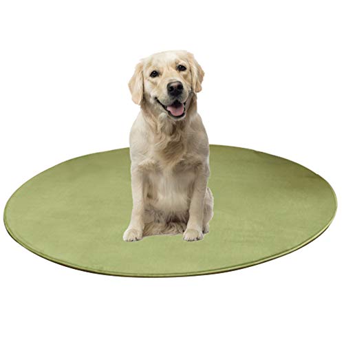 JZTRADE Kühlmatte Für Katzen Hund Kühlmatte Pet Cooling Mat Kistenmatte Kühlende Hundematte Trainingspads Cooles Hundebett Hundekühlung Haustier Mat Green,s JZTRADE Kühlmatte Für Katzen Hund Kühlmatte Pet Cooling Mat Kistenmatte Kühlende Hundematte Trainingspads Cooles Hundebett Hundekühlung Haustier Mat Green,s von JZTRADE
