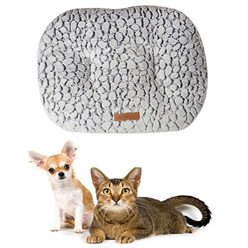 JZTRADE Kuscheldecke Hund Hundedecke Hundekiste Mat Flauschige Katze Mat Hundebett klein Hundebett Zubehör Katzenbetten Weiche Katze Mat Welpen Matten 2,m JZTRADE Kuscheldecke Hund Hundedecke Hundekiste Mat Flauschige Katze Mat Hundebett klein Hundebett Zubehör Katzenbetten Weiche Katze Mat Welpen Matten 2,m von JZTRADE