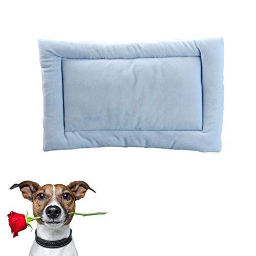 JZTRADE Kuscheldecke Hund Hundedecke Hundekomfortbett Weiche Katze Mat Haustier-Auflage Warme Hundedecke Waschbares Hundebett Hundebettwäsche Hundekiste Mat Blue,s JZTRADE Kuscheldecke Hund Hundedecke Hundekomfortbett Weiche Katze Mat Haustier-Auflage Warme Hundedecke Waschbares Hundebett Hundebettwäsche Hundekiste Mat Blue,s von JZTRADE