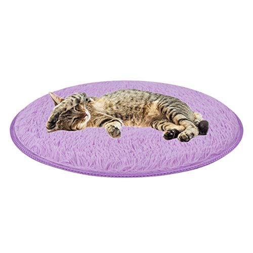 JZTRADE Kuscheldecke Hund Hundedecke Luxus Hundebett Hundekiste Mat Hundekomfortbett Weiches Tierarztbett Warme Hundedecke Hundebett Zubehör Haustierbett Purple,l JZTRADE Kuscheldecke Hund Hundedecke Luxus Hundebett Hundekiste Mat Hundekomfortbett Weiches Tierarztbett Warme Hundedecke Hundebett Zubehör Haustierbett Purple,l von JZTRADE