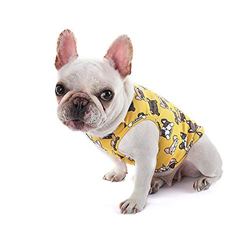 JZTRADE Ruffwear Kühlweste Kühlweste Hund Kühlende Hundeweste Coole Mäntel für Hunde Hund Coole Weste Coole Westen für Hunde Coole Club Eisweste für Hunde Yellow,XL JZTRADE Ruffwear Kühlweste Kühlweste Hund Kühlende Hundeweste Coole Mäntel für Hunde Hund Coole Weste Coole Westen für Hunde Coole Club Eisweste für Hunde Yellow,XL von JZTRADE