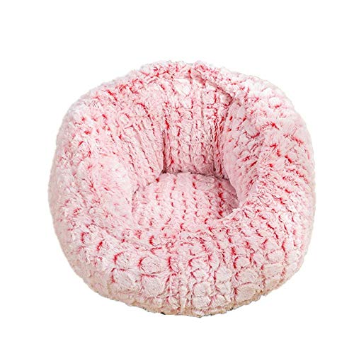 JZTRADE hundebett Grosse Hunde hundebetten Hundebett klein Kätzchenbett Haustiernest Hundekissen Kleines Katzenbett Plüsch Hundebett Flauschiges Katzenbett red a,l JZTRADE hundebett Grosse Hunde hundebetten Hundebett klein Kätzchenbett Haustiernest Hundekissen Kleines Katzenbett Plüsch Hundebett Flauschiges Katzenbett red a,l von JZTRADE