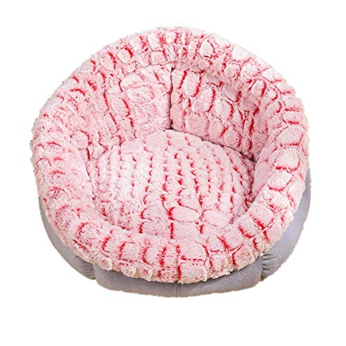 JZTRADE hundebett Grosse Hunde hundebetten Hundebett klein Kätzchenbett Haustiernest Hundekissen Kleines Katzenbett Plüsch Hundebett Flauschiges Katzenbett red b,m JZTRADE hundebett Grosse Hunde hundebetten Hundebett klein Kätzchenbett Haustiernest Hundekissen Kleines Katzenbett Plüsch Hundebett Flauschiges Katzenbett red b,m von JZTRADE