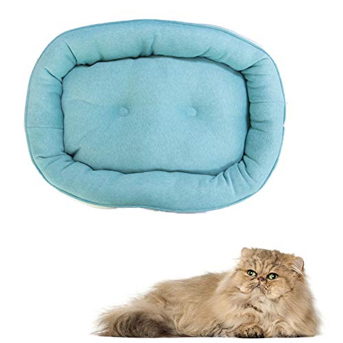JZTRADE hundebett kleine Hunde hundebett Grosse Hunde Haustierbetten Für Hunde Doppelseitiges Haustierbett Günstige Hundebetten Warmes Hundebett Green,m JZTRADE hundebett kleine Hunde hundebett Grosse Hunde Haustierbetten Für Hunde Doppelseitiges Haustierbett Günstige Hundebetten Warmes Hundebett Green,m von JZTRADE