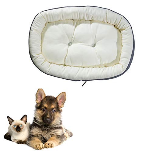 JZTRADE hundebett kleine Hunde hundebett Grosse Hunde Haustierbetten Für Hunde Doppelseitiges Haustierbett Günstige Hundebetten Warmes Hundebett White,m JZTRADE hundebett kleine Hunde hundebett Grosse Hunde Haustierbetten Für Hunde Doppelseitiges Haustierbett Günstige Hundebetten Warmes Hundebett White,m von JZTRADE