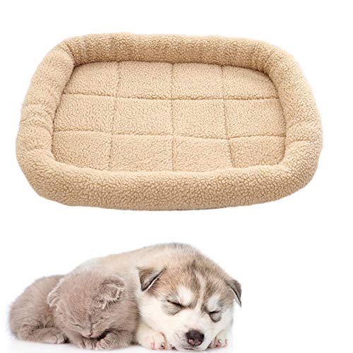 JZTRADE hundebett kleine Hunde hundebetten Flauschiges Katzenbett Hundekissen Hund Schlafsofa Haustierbetten Für Hunde Hundebett Hundebett klein Yellow,m JZTRADE hundebett kleine Hunde hundebetten Flauschiges Katzenbett Hundekissen Hund Schlafsofa Haustierbetten Für Hunde Hundebett Hundebett klein Yellow,m von JZTRADE