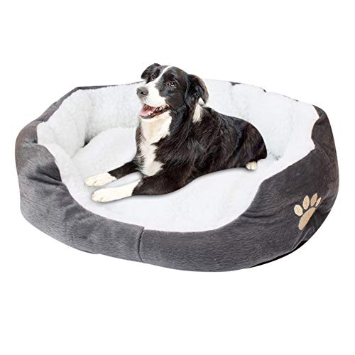 JZTRADE hundebett kleine Hunde hundebetten Haustierbetten Für Hunde Luxus Hundebett Warmes Hundebett Plüsch Hundebett Hundebett klein Flauschiges Hundebett Gray,50 * 40cm JZTRADE hundebett kleine Hunde hundebetten Haustierbetten Für Hunde Luxus Hundebett Warmes Hundebett Plüsch Hundebett Hundebett klein Flauschiges Hundebett Gray,50 * 40cm von JZTRADE