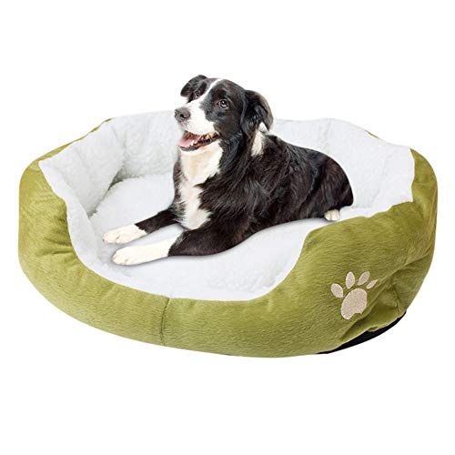 JZTRADE hundebett kleine Hunde hundebetten Haustierbetten Für Hunde Luxus Hundebett Warmes Hundebett Plüsch Hundebett Hundebett klein Flauschiges Hundebett Green,60 * 50cm JZTRADE hundebett kleine Hunde hundebetten Haustierbetten Für Hunde Luxus Hundebett Warmes Hundebett Plüsch Hundebett Hundebett klein Flauschiges Hundebett Green,60 * 50cm von JZTRADE