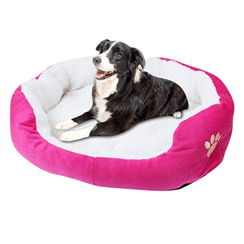 JZTRADE hundebett kleine Hunde hundebetten Haustierbetten Für Hunde Luxus Hundebett Warmes Hundebett Plüsch Hundebett Hundebett klein Flauschiges Hundebett Rose red,50 * 40cm JZTRADE hundebett kleine Hunde hundebetten Haustierbetten Für Hunde Luxus Hundebett Warmes Hundebett Plüsch Hundebett Hundebett klein Flauschiges Hundebett Rose red,50 * 40cm von JZTRADE