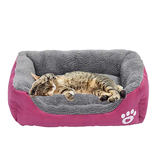 JZTRADE hundebetten hundebetten für mittlere Hunde Kätzchenbett Hundekissen Hundebett Haustierbetten Für Katzen Flauschiges Katzenbett Haustiernest Rose red,s JZTRADE hundebetten hundebetten für mittlere Hunde Kätzchenbett Hundekissen Hundebett Haustierbetten Für Katzen Flauschiges Katzenbett Haustiernest Rose red,s von JZTRADE
