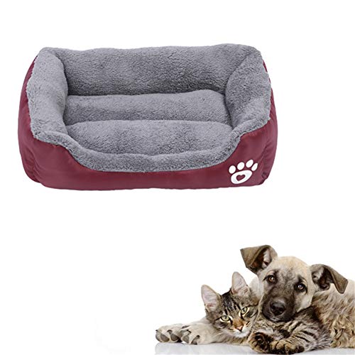JZTRADE hundebetten hundebetten für mittlere Hunde Kätzchenbett Hundekissen Hundebett Haustierbetten Für Katzen Flauschiges Katzenbett Haustiernest Wine red,l JZTRADE hundebetten hundebetten für mittlere Hunde Kätzchenbett Hundekissen Hundebett Haustierbetten Für Katzen Flauschiges Katzenbett Haustiernest Wine red,l von JZTRADE