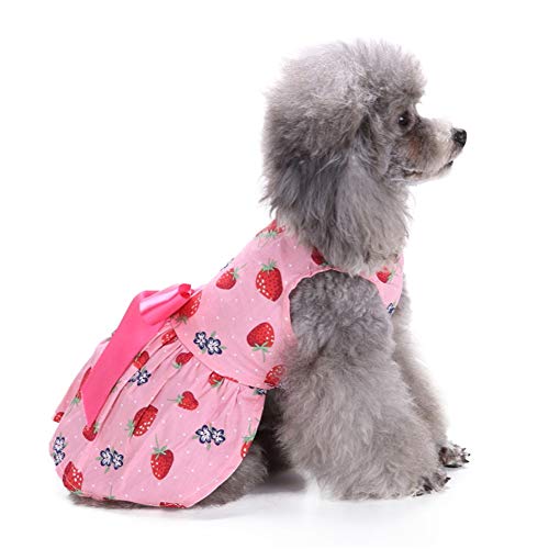 JZTRADE hundekleid Haustierkleid Hundekleid für große Hunde Sommerhundekleidung Hundekleidung Prinzessin Hundekleid Haustier Party Kleid Bling Hundekleid 5,l JZTRADE hundekleid Haustierkleid Hundekleid für große Hunde Sommerhundekleidung Hundekleidung Prinzessin Hundekleid Haustier Party Kleid Bling Hundekleid 5,l von JZTRADE