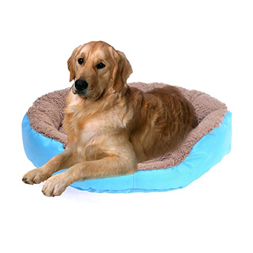 JZTRADE katzenbett hundebetten Haustierbetten Für Hunde Flauschiges Hundebett Haustierbetten Für Katzen Günstige Hundebetten Hund Schlafsofa Hundekomfortbett Blue,m JZTRADE katzenbett hundebetten Haustierbetten Für Hunde Flauschiges Hundebett Haustierbetten Für Katzen Günstige Hundebetten Hund Schlafsofa Hundekomfortbett Blue,m von JZTRADE