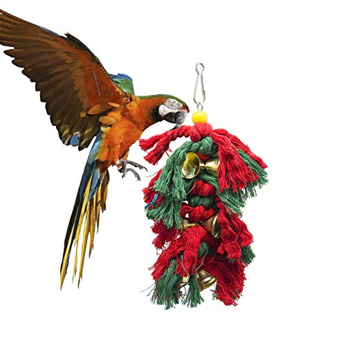 JZTRADING VogelkäFig ZubehöR Wellensittich Wellensittich Spielzeug FüR Den KäFig Vogelspielzeug Papagei Spielzeug African Grey Papageienbarsch d JZTRADING VogelkäFig ZubehöR Wellensittich Wellensittich Spielzeug FüR Den KäFig Vogelspielzeug Papagei Spielzeug African Grey Papageienbarsch d von JZTRADING