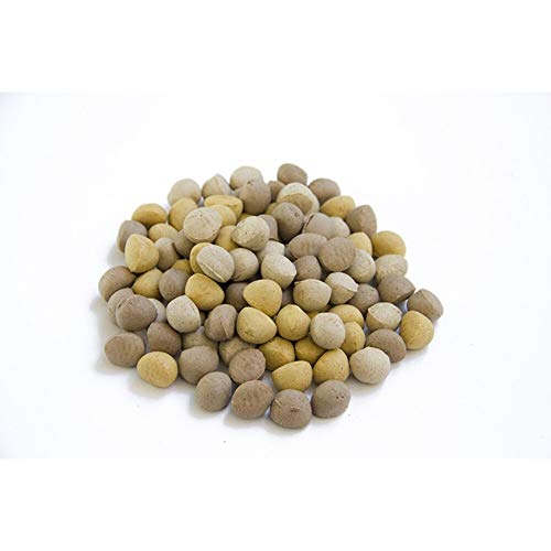 Jack doggies 10 KG Jack jackers von Jack doggies