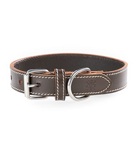 Hundehalsband aus Büffelleder – Robustes & Elegantes Lederhalsband aus Fettleder – Hunde Halsband Leder für kleine & große Hunde Hector braun (L (41-51cm)) von Jack & Russell