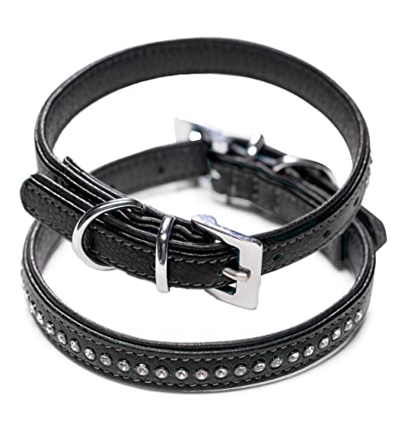 Hundehalsband aus Echt-Leder mit Strasssteinen/Kristall besetzt – funkelndes Hunde und Katzen Halsband aus gepolsterten und doppellagigen Büffelleder - Lederhalsband Audrey (M (24.5-32.5cm), Schwarz) von Jack & Russell