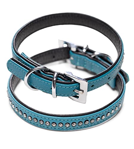 Hundehalsband aus Echt-Leder mit Strasssteinen/Kristall besetzt – funkelndes Hunde und Katzen Halsband aus gepolsterten und doppellagigen Büffelleder - Lederhalsband Audrey (XS (19.0-23.5cm), Türkis) von Jack & Russell