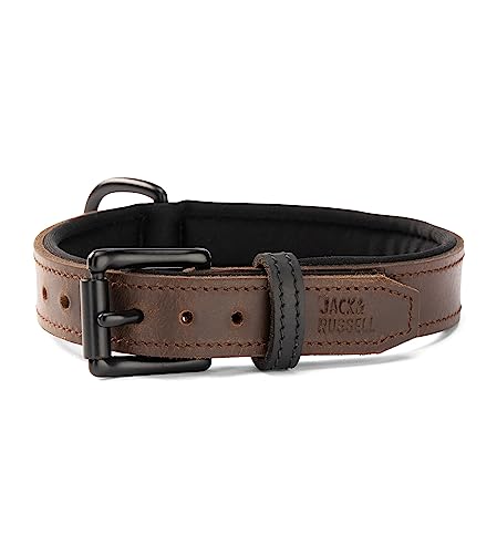 Hundehalsband aus Echt-Leder und Neopren-Schicht – gepolstertes und Robustes Lederhalsband für kleine & große Hunde – Premium Halsband Craig (M (36.0-45.0cm)) von Jack & Russell