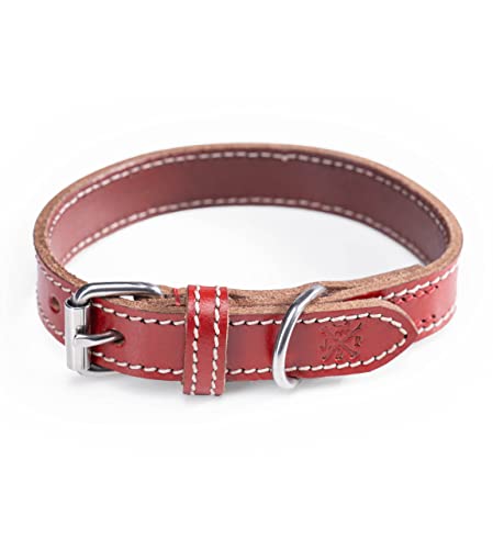 Hundehalsband aus Leder – Robustes & Elegantes Lederhalsband – Hunde Halsband für kleine & große Hunde Tom rot (S (25-33,5cm)) von Jack & Russell