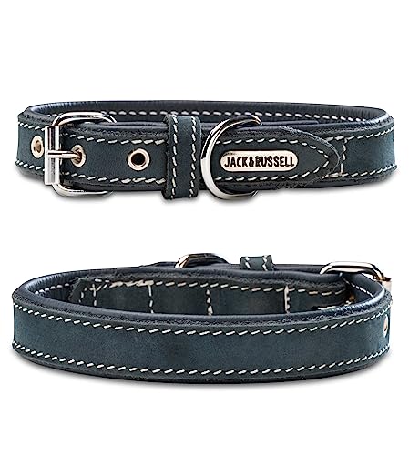 Hundehalsband aus Leder in Petrol/Blau– gepolstertes Lederhalsband für kleine & große Hunde - Halsband Bella (L (40,0-49,5cm)) von Jack & Russell