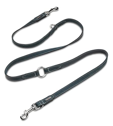 JACK & RUSSELL Hundeleine aus Leder & Edelstahl Karabiner/Ringe | verstellbare Führleine 2,00m | robuste & weiche Hunde Lederleine aus Büffel-Fettleder Buddy (Petrol) von Jack & Russell