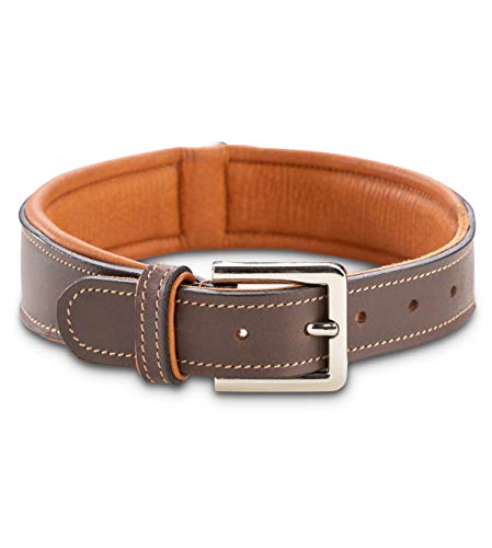 Jack & Russell Amy - Premium Leder Hunde Halsband Echtes Braun (S) von Jack & Russell
