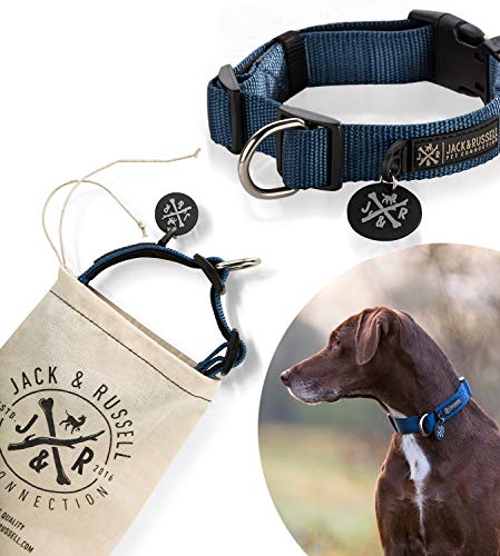 Jack & Russell Hundehalsband Balu Neopren gepolstert - Hunde Halsband div. Größen und Farben (Halsumfang L (43-58 cm), Blau) von Jack & Russell