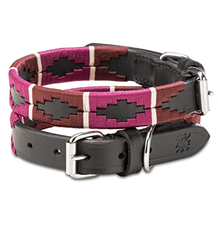 Jack & Russell Polo Hundehalsband aus Leder | Premium handgefertigtes Lederhalsband für kleine & große Hunde - Halsband Pablo (M (31,5-40,0cm)) von Jack & Russell