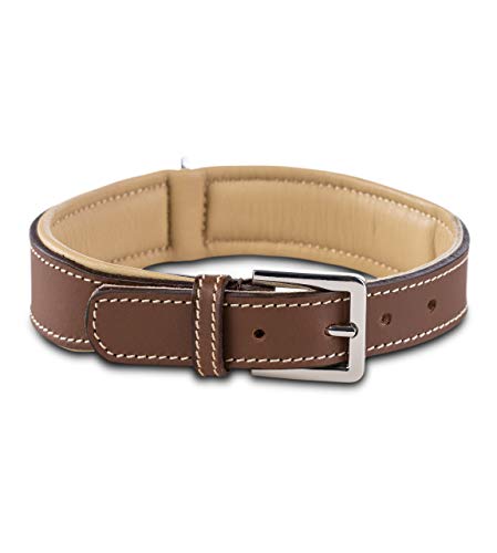 Jack & Russell Premium Hunde Leder Halsband Amy - Lederhalsband aus Echtleder mit Original J&R Prägestempel - robust & elegant (L, Braun/Beige) von Jack & Russell