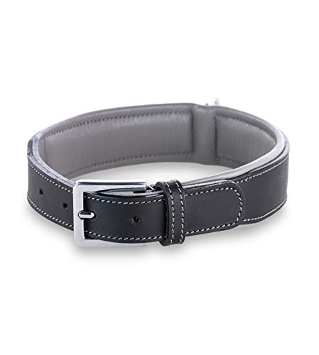 Jack & Russell Premium Hunde Leder Halsband Amy - Lederhalsband aus Echtleder mit Original J&R Prägestempel - robust & elegant (S, Schwarz/Grau) von Jack & Russell