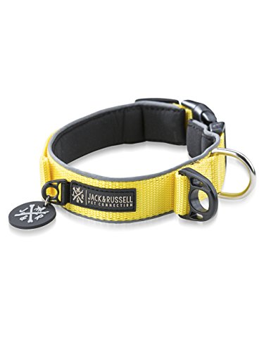 Jack & Russell Premium Hundehalsband Luna reflektierend und Neopren gepolstert Hunde Halsband div. Größen und Farben (Halsumfang L (43-58 cm), Gelb) von Jack & Russell